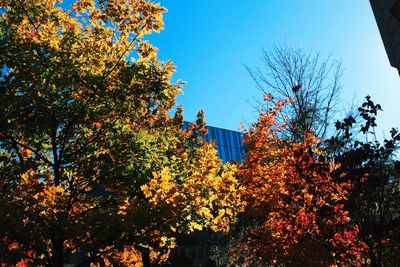 Low angle view of building with trees in background