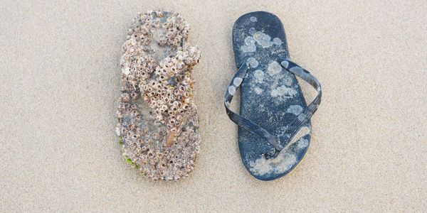 High angle view of shoes on sand