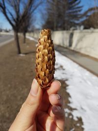 Close-up of hand holding ice cream