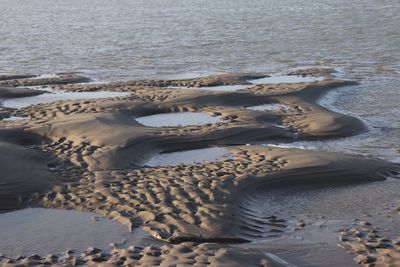 High angle view of shells on shore