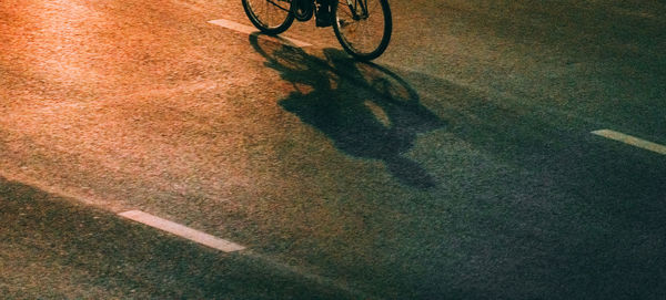 Low section of bicycle