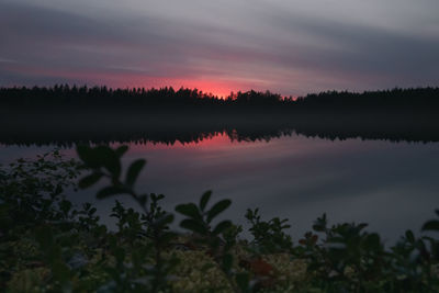 Picturesque landscape in the evening. forest lake. glow from the setting sun.