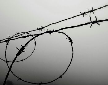 Barbed wire