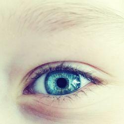 Close-up portrait of woman eye