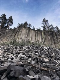 Stack of trees against sky