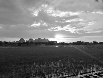 Scenic view of field against sky