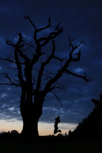 Low angle view of silhouette tree against sky during sunset