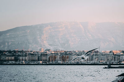 Bridge over river with buildings in background