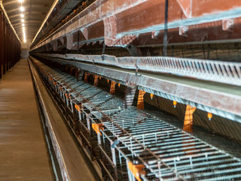 The empty laying cages in the chicken farm