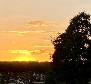 Silhouette trees on field against sky at sunset