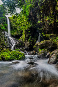 View of waterfall in forest