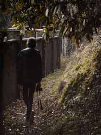 Rear view of man walking on field