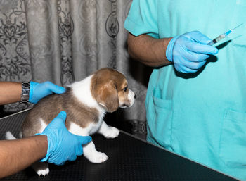 Midsection of man with dog