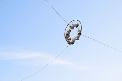 Low angle view of spider on web against sky