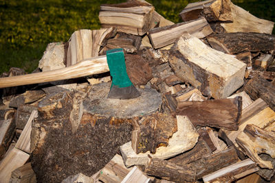 High angle view of logs in forest