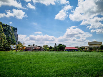 Scenic view of field against sky