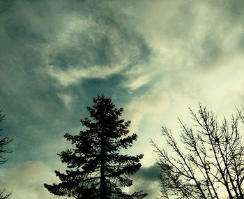 Low angle view of trees against cloudy sky