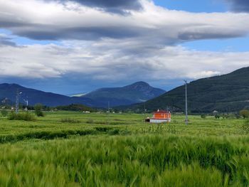 Scenic view of field and mountains against sky