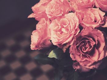 Close-up of pink rose