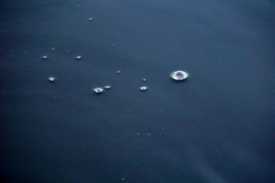 Full frame shot of moon in water