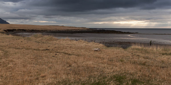 Scenic view of beach against sky