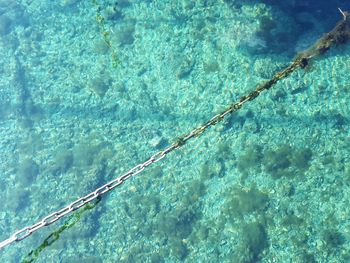 High angle view of sea shore