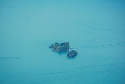 High angle view of crab in sea