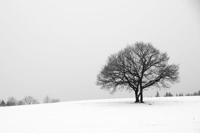 Bare tree on snow covered field against clear sky