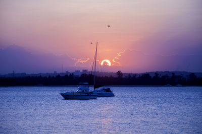 Silhouette of sailboats in sea during sunset