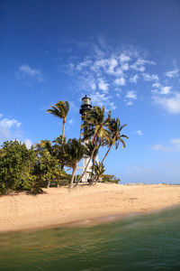 Palm trees on beach against blue sky