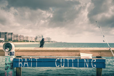 Rear view of man standing at beach against sky