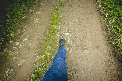Low section of woman standing on grass