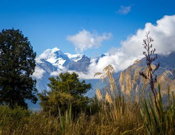 Scenic view of trees and mountains against blue sky