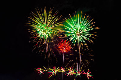 Low angle view of firework display against sky at night