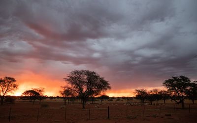 Scenic view of dramatic sky during sunset