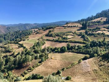 Scenic view of field against clear sky