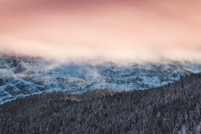 Close-up of snow against sky during sunset