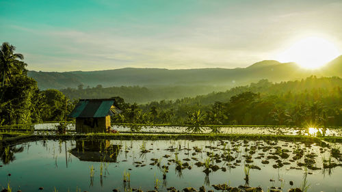 Scenic view of lake against sky during sunset