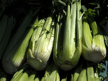 Full frame shot of corn