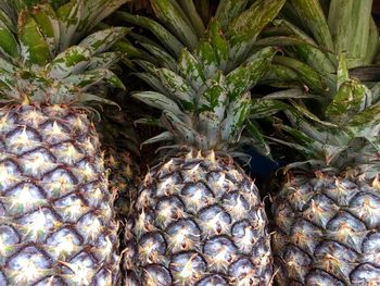 Full frame shot of fruits for sale in market