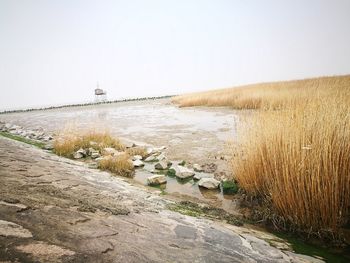 Scenic view of beach against clear sky