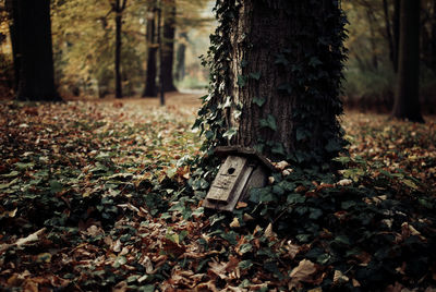 Abandoned birdhouse by tree trunk on field