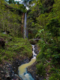 Waterfall in forest