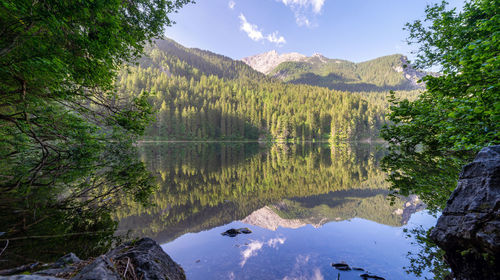 Scenic view of lake in forest against sky