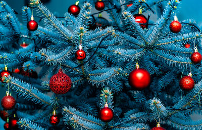 Christmas decorations hanging on tree