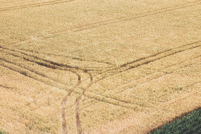 High angle view of field