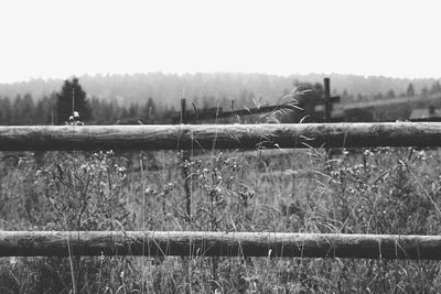 Scenic view of field against clear sky