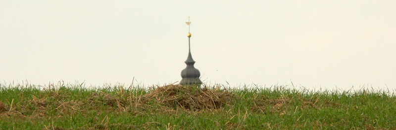 Grass on field against clear sky