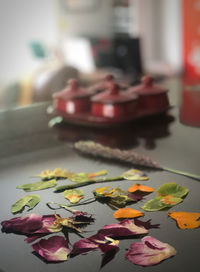 Close-up of rose on table
