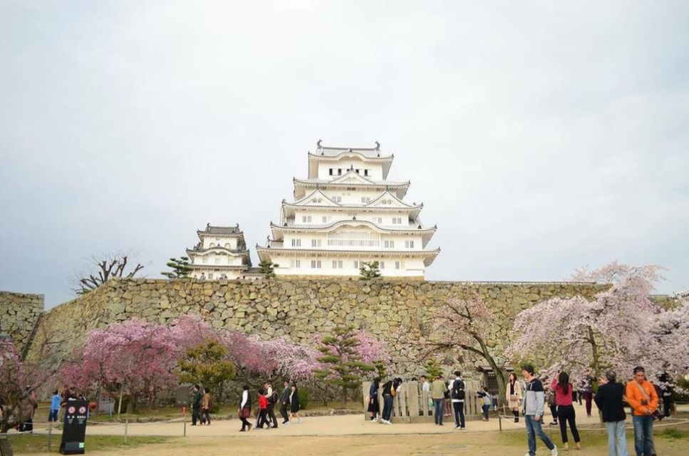 large group of people, architecture, built structure, person, building exterior, men, lifestyles, famous place, tourism, leisure activity, tourist, travel destinations, sky, travel, history, vacations, mixed age range, tree, international landmark